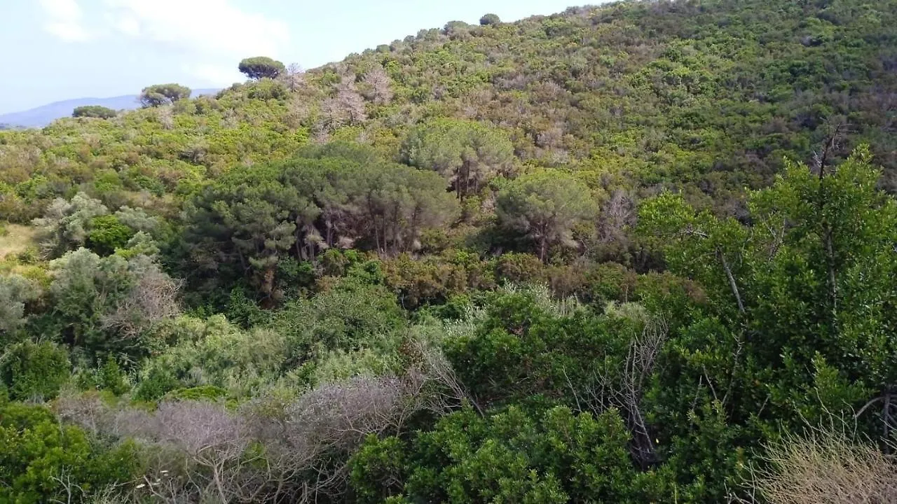 Buen Retiro Panzió Portoferraio Olaszország